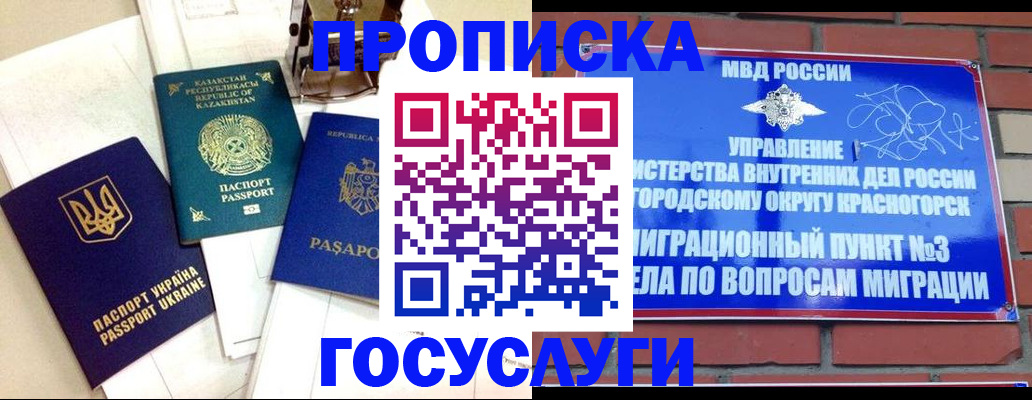 купить прописку в Курской области